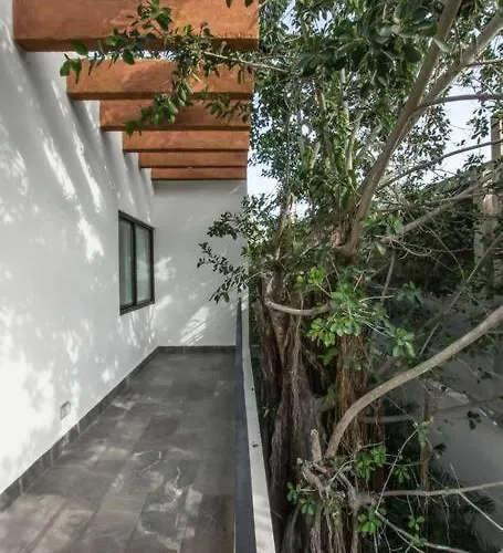 Villa With Jacuzzi & Pool With Great Concierge Service Tulum